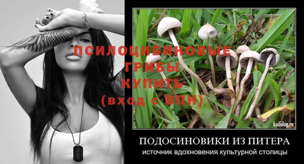 спайс Баксан